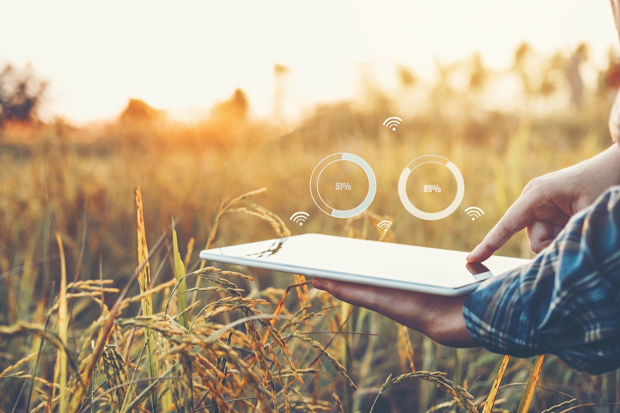 AdobeStock_244436775 AdobeStock_244436775