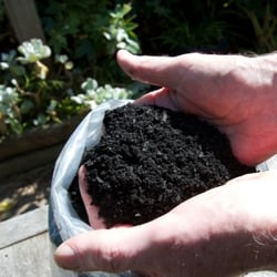 Biochar square