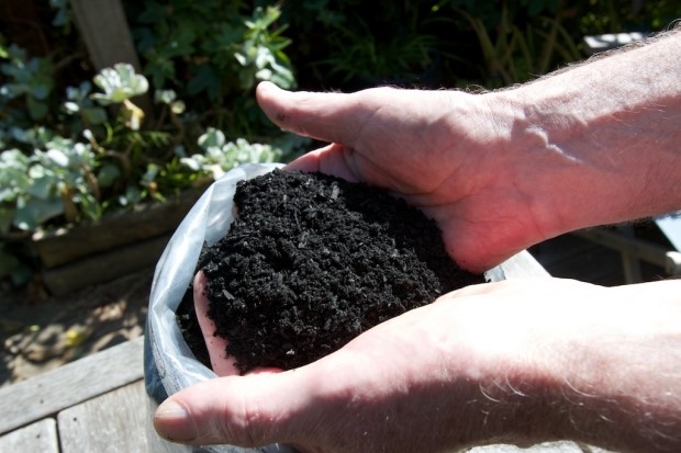 Biochar