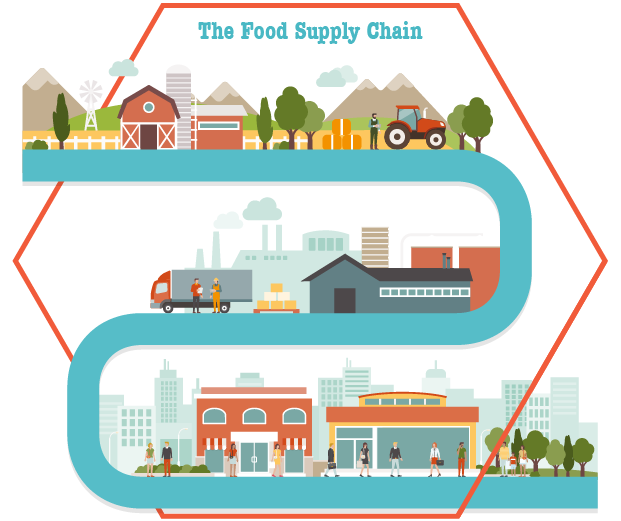 Food-Supply-Chain-01