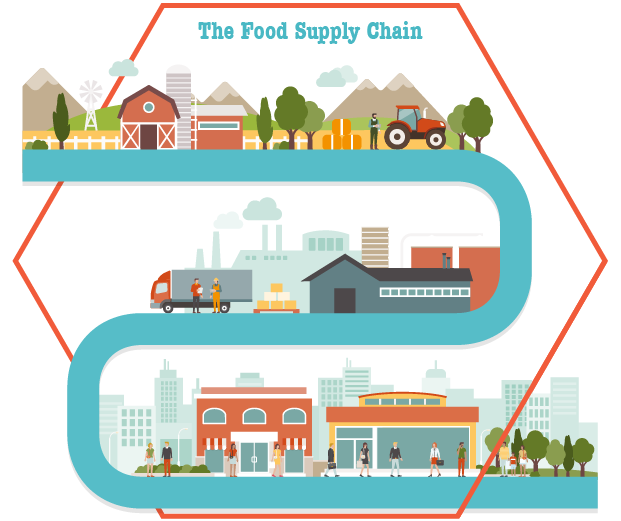 Food-Supply-Chain-01