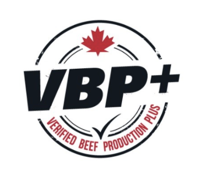 VBP+